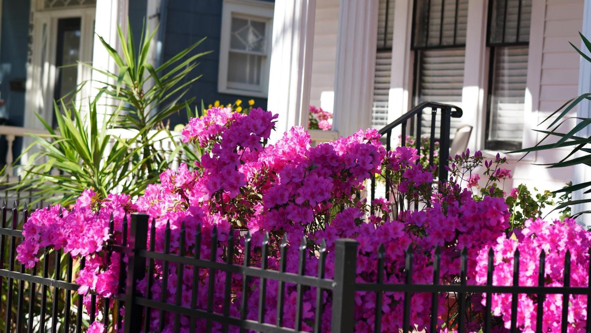 5 Bedroom Downtown Savannah Ga Exterior photo